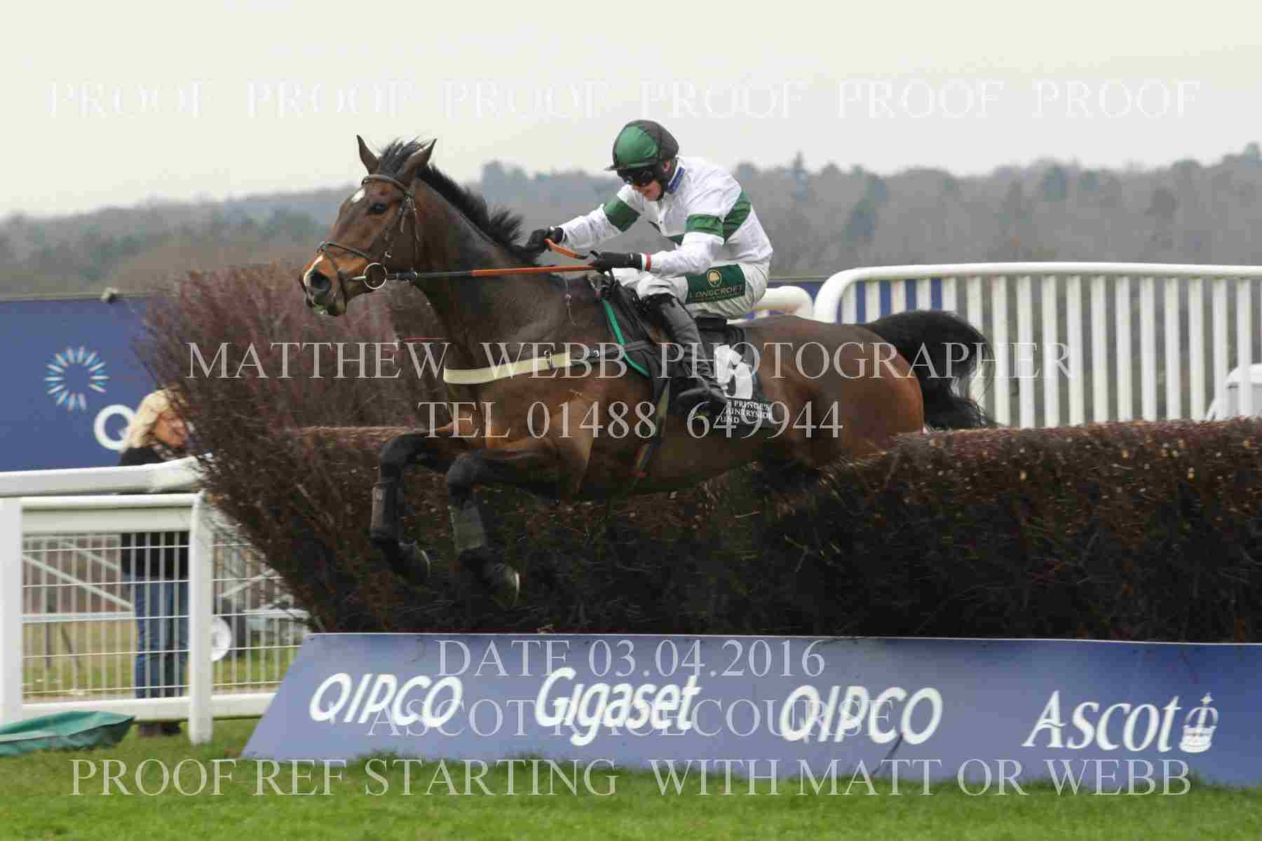 Big Jim Jumping At Ascot