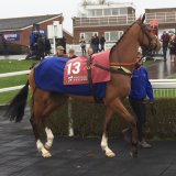 Maybell's First Taste Of The Paddock