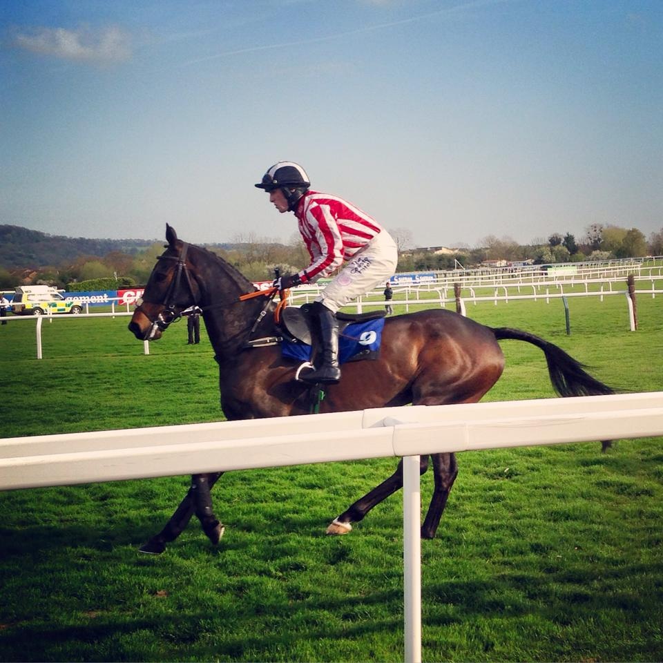 Minella 2nd At Cheltenham