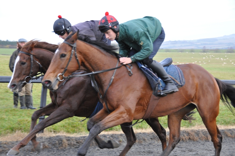 Penny Perriss's Smokey George working with TKBRP's Jacalou