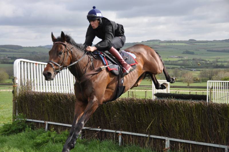 Able Deputy who runs tomorrow at Kempton have a refresher Able Deputy who runs tomorrow at Kempton have a refresher