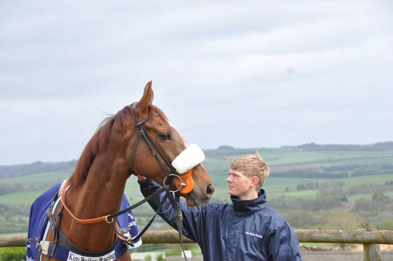 The Racing For Research's chase winner Sparville The Racing For Research's chase winner Sparville