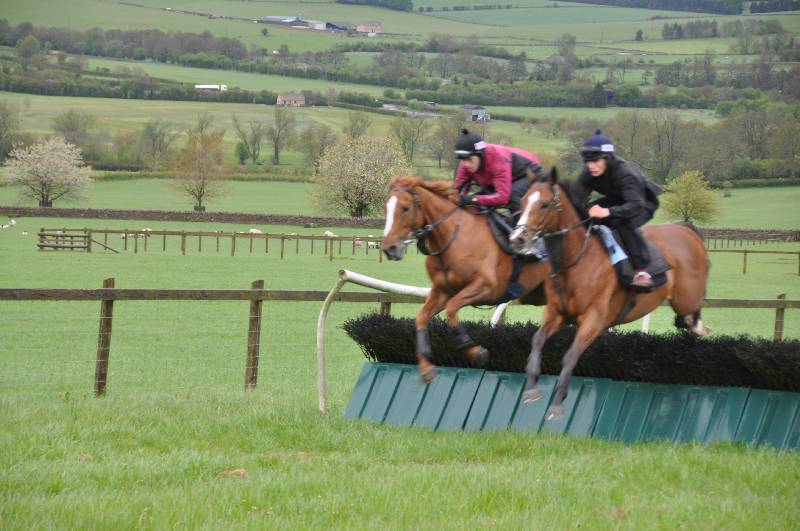 Twelve Roses and Points of View schooling with Jason and Ed Twelve Roses and Points of View schooling with Jason and Ed