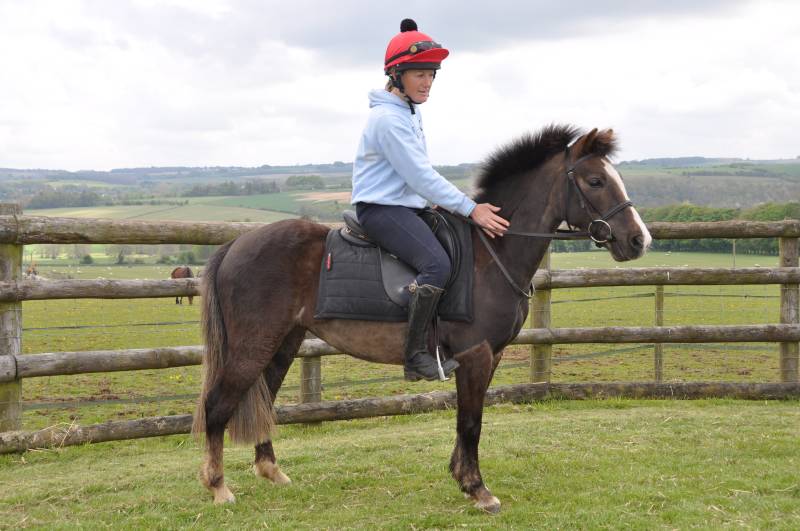 Clare on her new horse Highrate.. this winning chaser was bought from Sue Smith Clare on her new horse Highrate.. this winning chaser was bought from Sue Smith