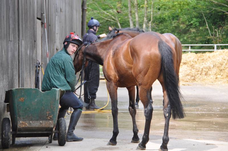 Shame Collins is looking very relaxed while waiting for the hose Shame Collins is looking very relaxed while waiting for the hose