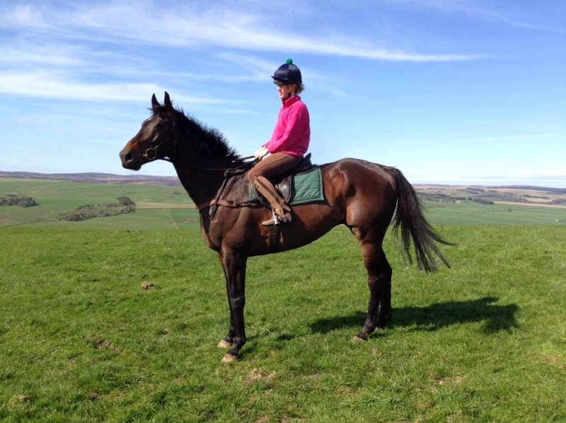 Buffalo Bob enjoying his new home in the borders with his new owner/rider Laura Innes Buffalo Bob enjoying his new home in the borders with his new owner/rider Laura Innes