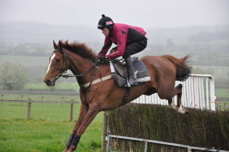 RFR's Sparville showing no ill effects after his fall RFR's Sparville showing no ill effects after his fall
