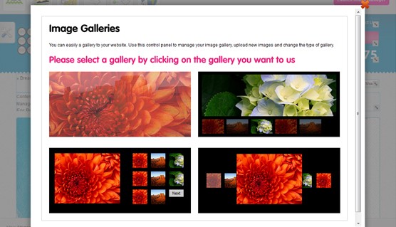 Image Galleries options for different image galleries to go on your website